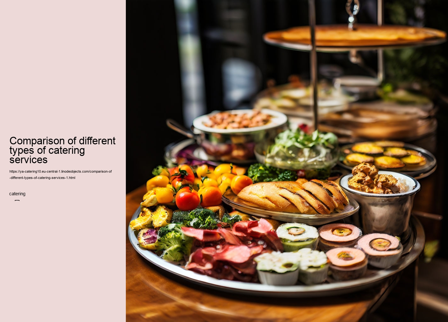 Comparison of different types of catering services